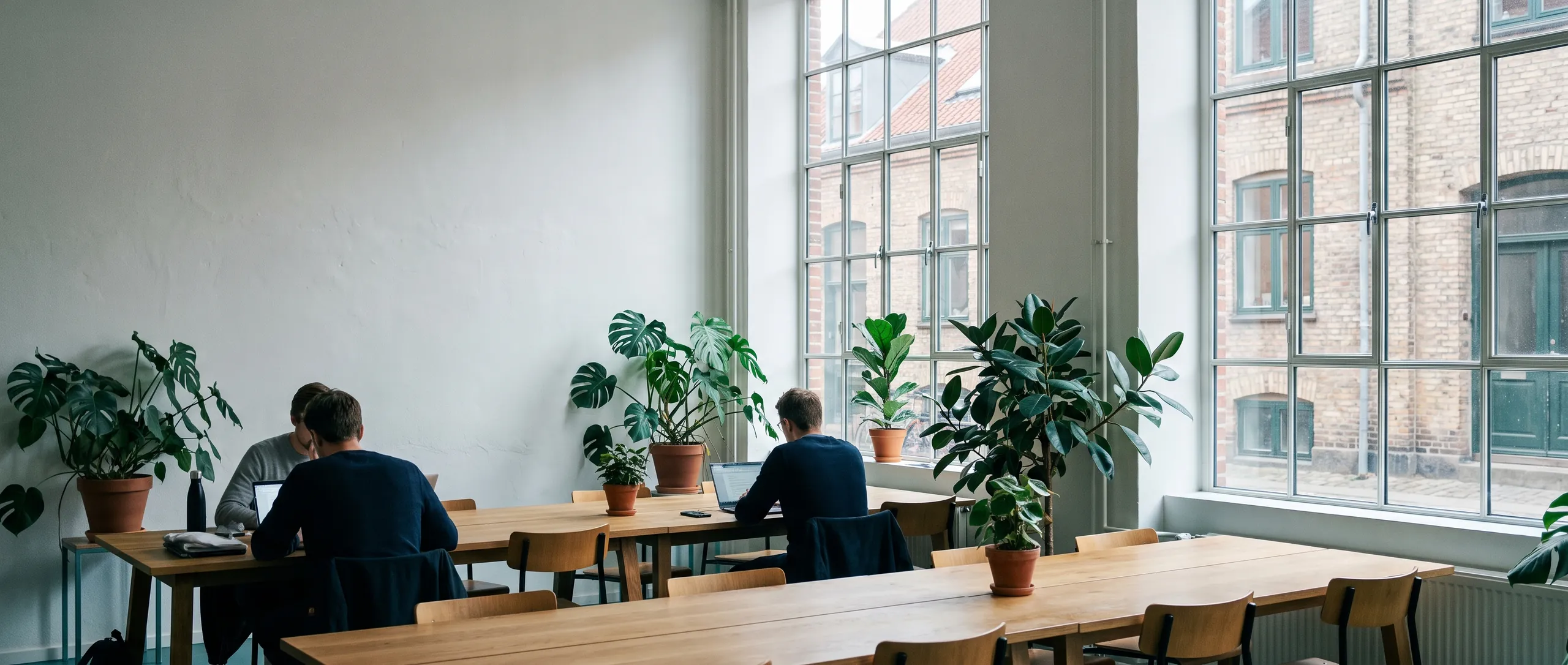 A coworking lounge with long tables in morning light